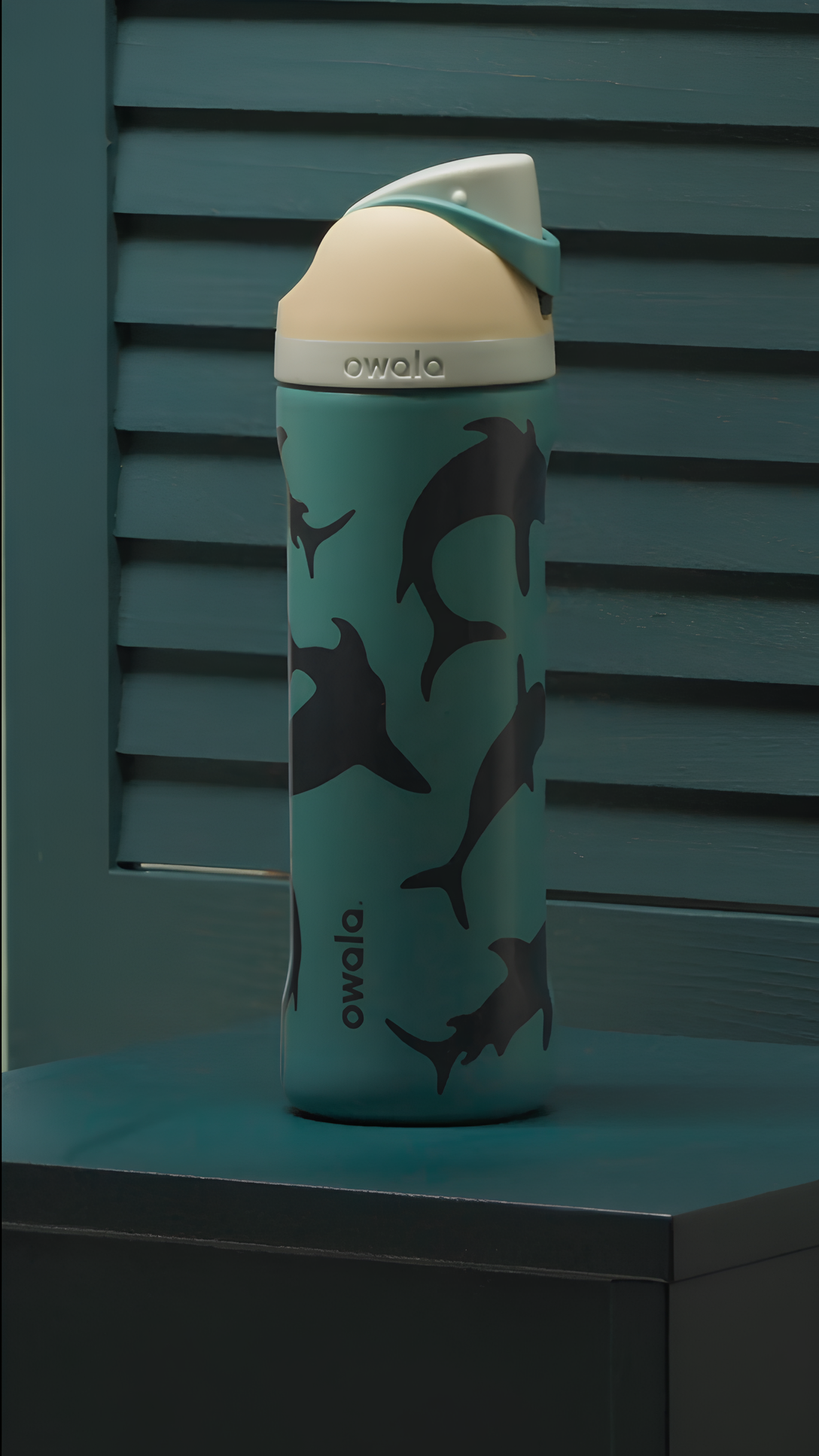 Fin Frenzy 24oz FreeSip Bottle